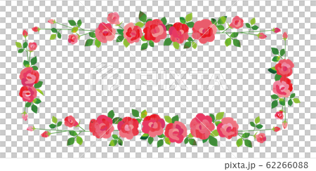 赤いバラ 横長長方形フレーム 赤いバラ 横長長方形フレーム 62266088