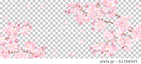 Spring flowers: cherry blossoms and falling petal asymmetric background watercolor illustration Spring flowers: cherry blossoms and falling petal asymmetric background watercolor illustration 62266945