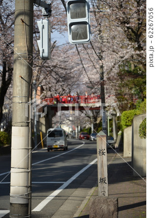 東京都大田区の桜坂 62267056