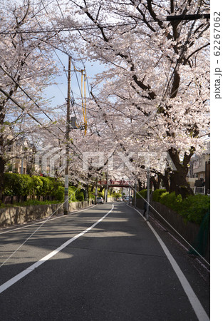 東京都大田区の桜坂 62267062