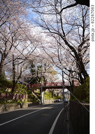 東京都大田区の桜坂 東京都大田区の桜坂 62267063