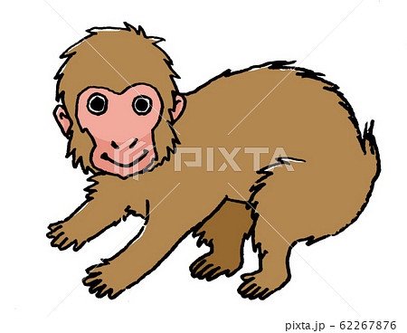 干支 さる 手描きイラストのイラスト素材