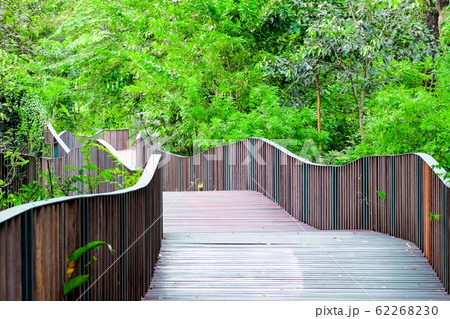 Shadiness of the Bird Wave Bridge, A wave-like wooden bridge is a bridge between Queen Sirikit Park with Wachirabenchathat Park on Chatuchak, Bangkok, Thailand Shadiness of the Bird Wave Bridge, A wave-like wooden bridge is a bridge between Queen Sirikit Park with Wachirabenchathat Park on Chatuchak, Bangkok, Thailand 62268230