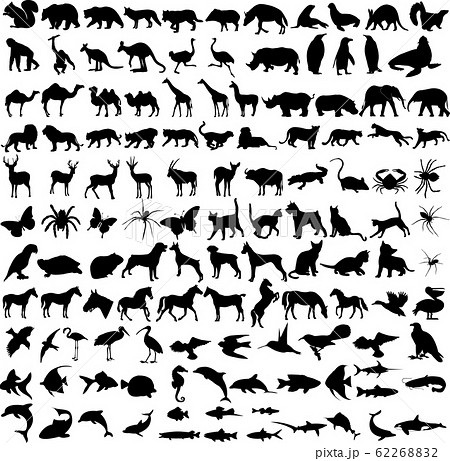 125 high quality diferent animals silhouettes 125 high quality diferent animals silhouettes 62268832