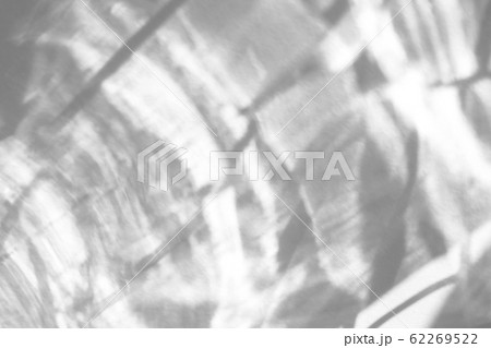 Organic drop shadow on a white wall Organic drop shadow on a white wall 62269522
