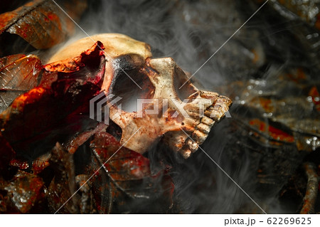 Human skull on the wet soild with smoke flowing 62269625