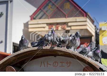 名古屋市　「大須観音」 ハトのエサ売り場 62270153
