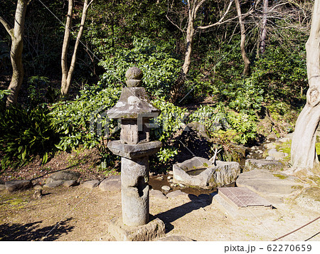 三渓園（梅） 62270659