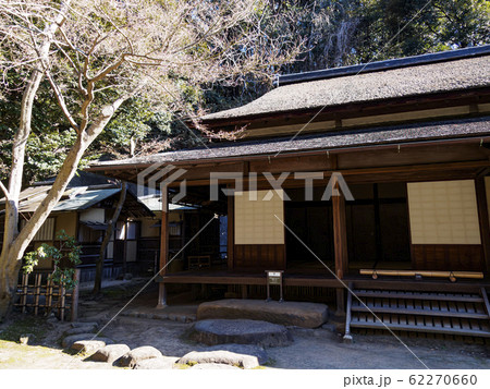 三渓園(梅) 三渓園(梅) 62270660