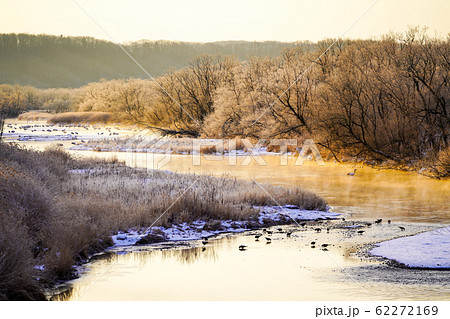日の出を迎えた雪裡川 樹氷と丹頂鶴 ”阿寒郡鶴居村” 日の出を迎えた雪裡川 樹氷と丹頂鶴 ”阿寒郡鶴居村” 62272169