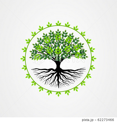 Abstract tree with roots and green leaves. tree Abstract tree with roots and green leaves. tree 62273466