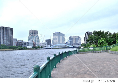 越中島公園遊歩道 永代橋方面 62276920