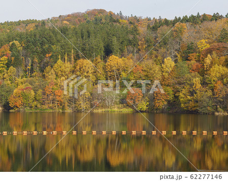 紅葉の木々の写りこんだ栗山ダム 少し寄り 紅葉の木々の写りこんだ栗山ダム 少し寄り 62277146