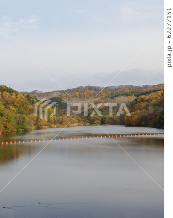 紅葉の木々と栗山ダム　浮かぶブイ　縦構図 62277151