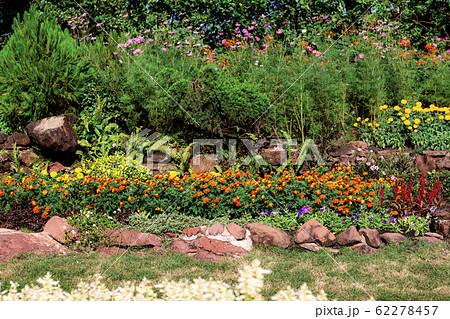Flower with the colorful. Flower with the colorful. 62278457
