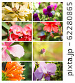 Design cards with floral collection 62280865