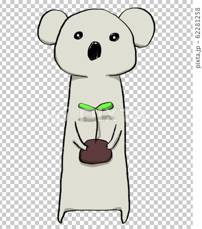 コアラ 植樹 環境保全 ユーカリ コアラ 植樹 環境保全 ユーカリ 62281258