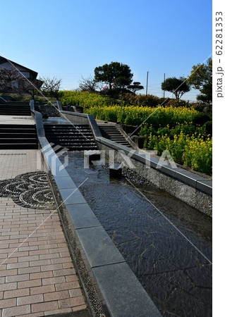 菜の花畑 62281353