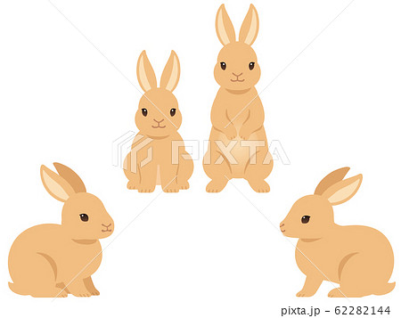 ウサギのイラストセットのイラスト素材 62282144 Pixta
