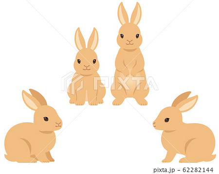 Rabbit Illustration Set Stock Illustration