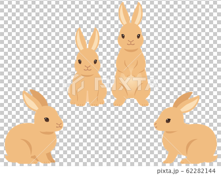 ウサギのイラストセットのイラスト素材