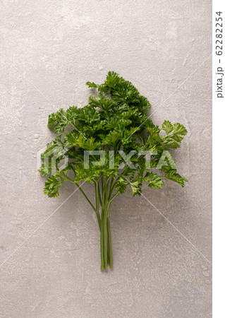 fennel bulbs, light stone, leaves, potato wedges, baked potato, italian parsley, copy space, dried grass, leaf parsley, coriander fennel bulbs, light stone, leaves, potato wedges, baked potato, italian parsley, copy space, dried grass, leaf parsley, coriander 62282254