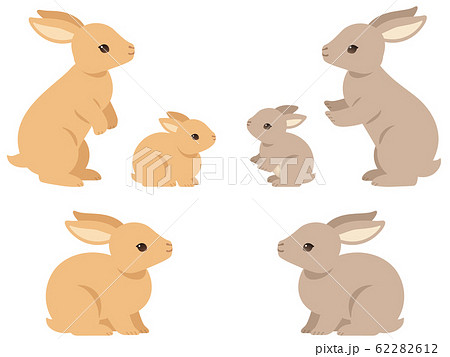 見上げるウサギの親子のイラストセットのイラスト素材 62282612 Pixta