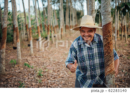 Farmer agriculturist Rubber tree plantation 62283140