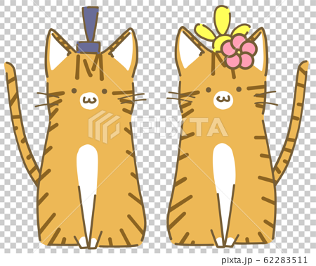 雛祭りの茶トラ猫セットのイラスト素材
