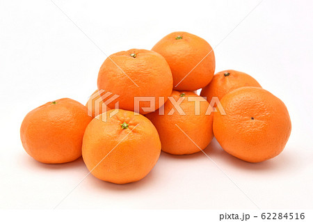 ポンカン 62284516