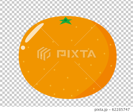 みかん　オレンジ 62285747