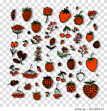 Berries collection, sketch for your design Berries collection, sketch for your design 62286015