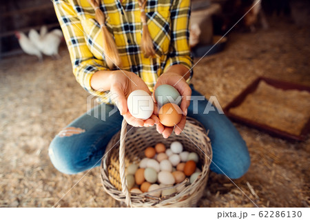 Proud chicken farmer showing the eggs her hens produced Proud chicken farmer showing the eggs her hens produced 62286130
