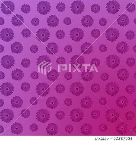 Luxury floral background with primula flowers Luxury floral background with primula flowers 62287653