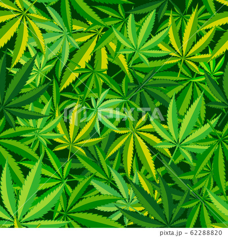Cannabis Leaf Seamless Patternのイラスト素材 62