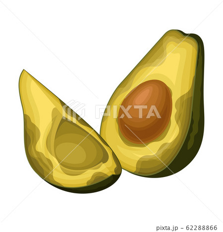 Spoiled and Rotten Avocado Fruit with Skin Covered with Stinky Rot Vector Illustration 62288866