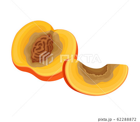 Spoiled and Rotten Peach Fruit with Skin Covered with Stinky Rot Vector Illustration 62288872