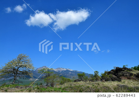 長野県南牧村、ヤマナシの花咲く早春の平沢峠 62289443
