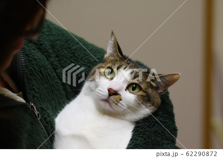 猫を抱く 猫を抱く 62290872