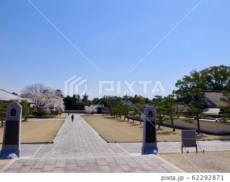 【奈良】春の薬師寺(桜) 【奈良】春の薬師寺(桜) 62292871