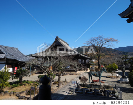 奈良　明日香村　橘寺 62294231
