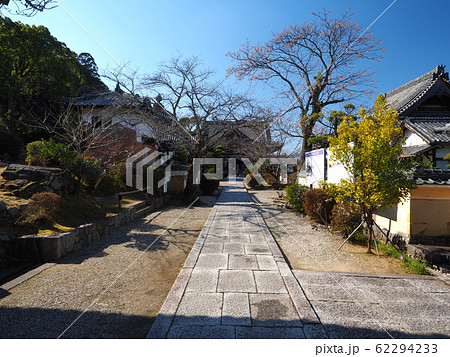 奈良　明日香村　橘寺 62294233