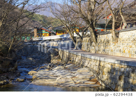 風景 木 通度寺 62294438