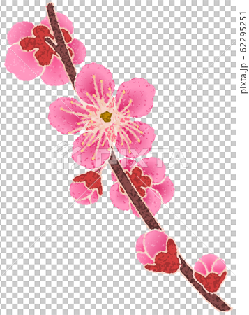 竹枝 竹枝 62295251