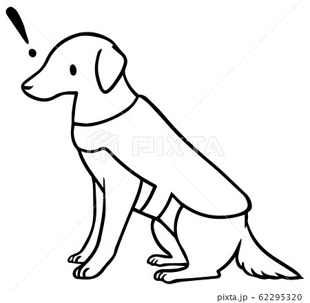 シンプルな介助犬のイラスト マーク 線のみ のイラスト素材 62295320 Pixta