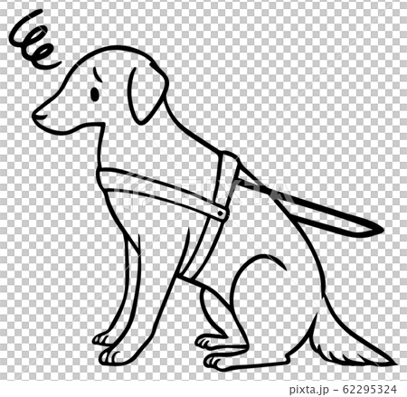 シンプルな盲導犬のイラスト(困り顔3)(線のみ) 62295324