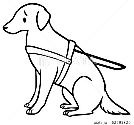 シンプルな盲導犬のイラスト 困り顔 線のみ のイラスト素材