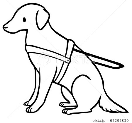 シンプルな盲導犬のイラスト 線のみ のイラスト素材
