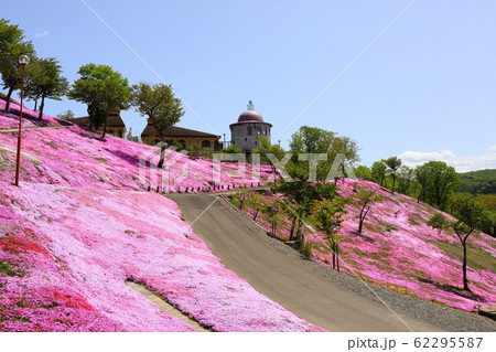芝ざくら滝上公園 62295587