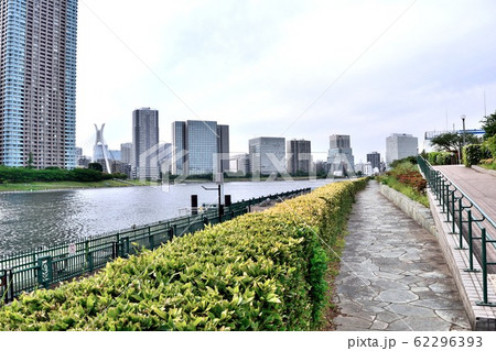 越中島公園遊歩道 永代橋方面 62296393